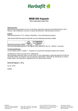 MSM-500-Kapseln 170 g