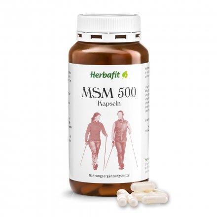 MSM-500-Kapseln 170 g