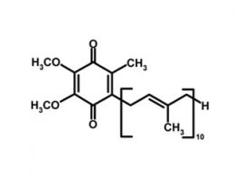 Coenzym Q10 &amp; Ubiquinol